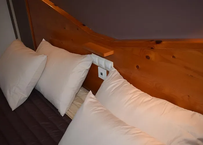 Restaurante Camelias 2*